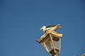 DSC01303 - Bernhard Saalfeld