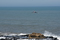 DSC01318 - Bernhard Saalfeld