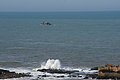 DSC01320 - Bernhard Saalfeld