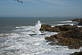 DSC01337 - Bernhard Saalfeld