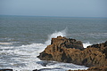 DSC01353 - Bernhard Saalfeld