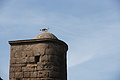 DSC01354 - Bernhard Saalfeld