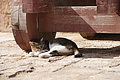 DSC01358 - Bernhard Saalfeld