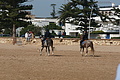 DSC01396 - Bernhard Saalfeld