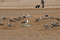 DSC01402 - Bernhard Saalfeld