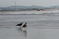 DSC01404 - Bernhard Saalfeld