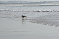 DSC01405 - Bernhard Saalfeld