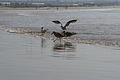 DSC01407 - Bernhard Saalfeld