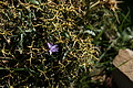 DSC01448 - Bernhard Saalfeld
