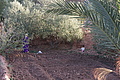 DSC01458 - Bernhard Saalfeld