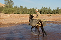 DSC01464 - Bernhard Saalfeld