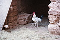 DSC01480 - Bernhard Saalfeld