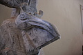 DSC01597 - Bernhard Saalfeld