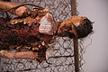 DSC01611 - Bernhard Saalfeld