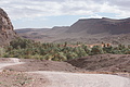 DSC01640 - Bernhard Saalfeld