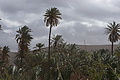 DSC01667 - Bernhard Saalfeld