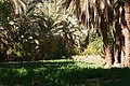 DSC01688 - Bernhard Saalfeld
