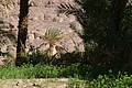 DSC01692 - Bernhard Saalfeld
