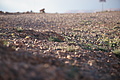 DSC01758 - Bernhard Saalfeld