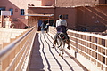 DSC01851 - Bernhard Saalfeld