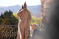 DSC01928 - Bernhard Saalfeld