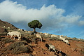 DSC02056 - Bernhard Saalfeld