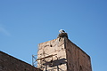 DSC02124 - Bernhard Saalfeld