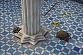 DSC02146 - Bernhard Saalfeld