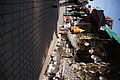 DSC02167 - Bernhard Saalfeld
