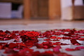 DSC02176 - Bernhard Saalfeld