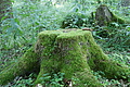 DSC04810 - Bernhard Saalfeld