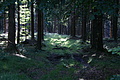 DSC04817 - Bernhard Saalfeld