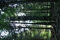 DSC04820 - Bernhard Saalfeld