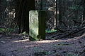 DSC04822 - Bernhard Saalfeld