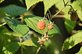 DSC04832 - Bernhard Saalfeld