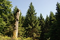 DSC04834 - Bernhard Saalfeld
