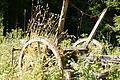 DSC04835 - Bernhard Saalfeld