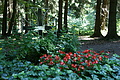 DSC04839 - Bernhard Saalfeld