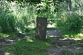 DSC04866 - Bernhard Saalfeld