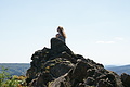 DSC04874 - Bernhard Saalfeld