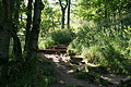 DSC04876 - Bernhard Saalfeld