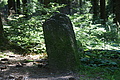 DSC04883 - Bernhard Saalfeld