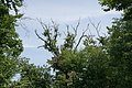 DSC04893 - Bernhard Saalfeld