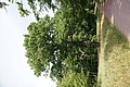 DSC04894 - Bernhard Saalfeld