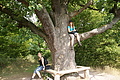 DSC04900 - Bernhard Saalfeld