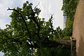 DSC04914 - Bernhard Saalfeld