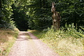 DSC04916 - Bernhard Saalfeld