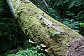 DSC04920 - Bernhard Saalfeld