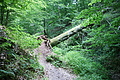 DSC04921 - Bernhard Saalfeld