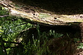 DSC04922 - Bernhard Saalfeld